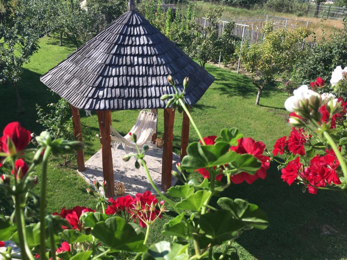 Casa Moldovan Ocna Şugatag Exteriör bild