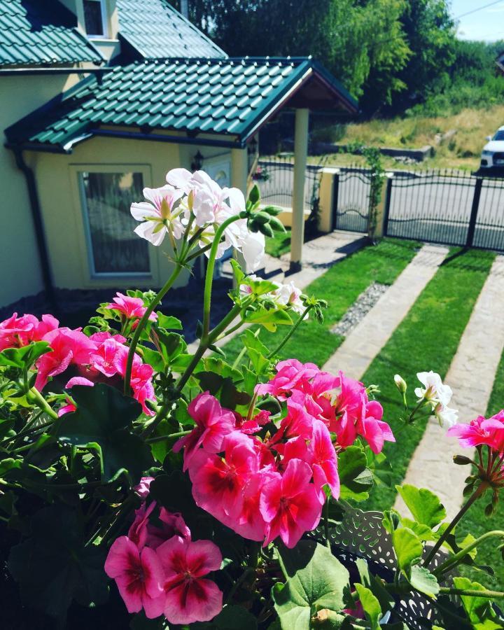 Casa Moldovan Ocna Şugatag Exteriör bild