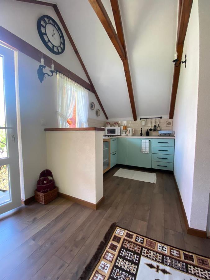 Casa Moldovan Ocna Şugatag Exteriör bild