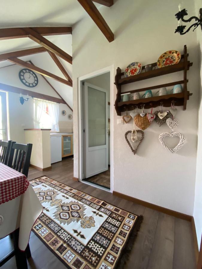 Casa Moldovan Ocna Şugatag Exteriör bild