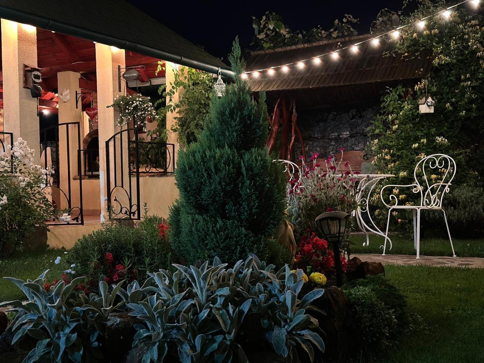 Casa Moldovan Ocna Şugatag Exteriör bild